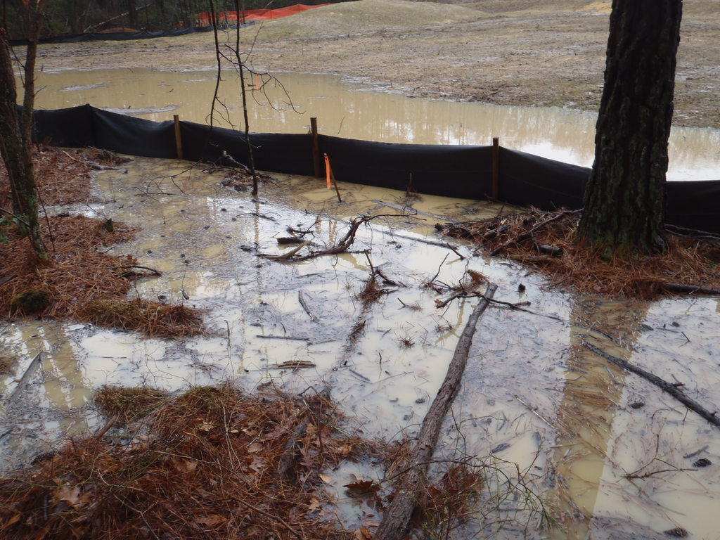 Woods at Myrtle Point failed silt fence