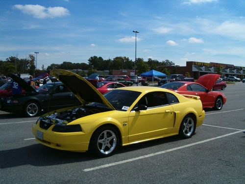 Yellow GT